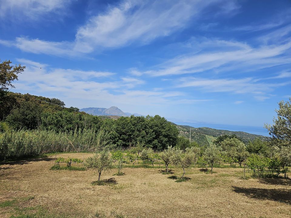 Terra a Collesano, Palermo - foto 5